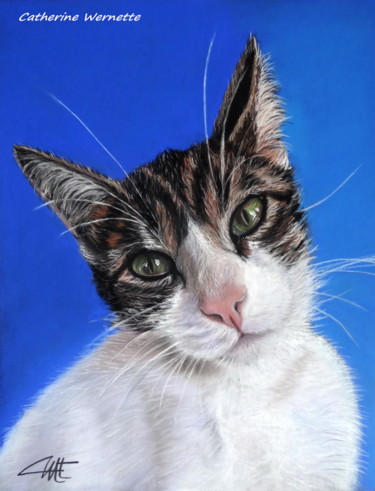 Painting titled "GRIBOUILLE, mon chat" by Catherine Wernette, Original Artwork, Pastel