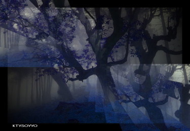 Digital Arts titled "ILLUSION NOCTURNE" by Catherine Wernette, Original Artwork, Digital Painting