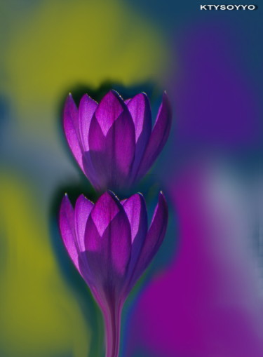 Painting titled "CROCUS" by Catherine Wernette, Original Artwork