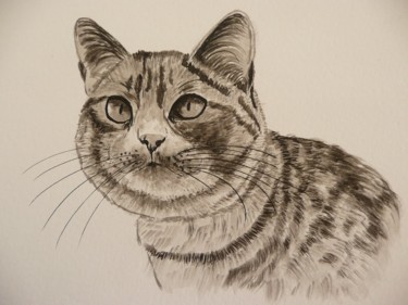 Peinture intitulée "CHAT tabby" par Cathou-Bazec, Œuvre d'art originale, Encre