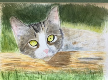 Painting titled "CHAT européen" by Cathou-Bazec, Original Artwork, Watercolor