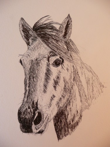 Drawing titled "Tête de CHEVAL" by Cathou-Bazec, Original Artwork, Ink