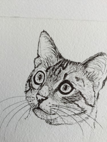 Drawing titled "Portrait de CHAT" by Cathou-Bazec, Original Artwork, Ink