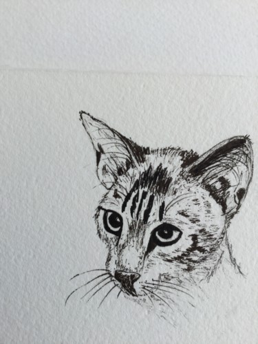 Dessin intitulée "Portrait de CHAT" par Cathou-Bazec, Œuvre d'art originale, Encre