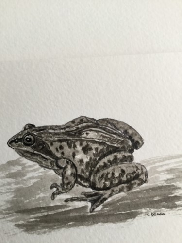 Drawing titled "GRENOUILLE" by Cathou-Bazec, Original Artwork, Ink