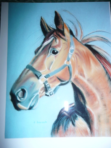 Painting titled "Portrait de CHEVAL" by Cathou-Bazec, Original Artwork, Pastel