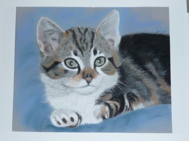 Painting titled "CHATON" by Cathou-Bazec, Original Artwork, Pastel