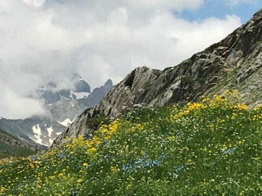 Photographie intitulée "MONTAGNE FLEURIE" par Cathou-Bazec, Œuvre d'art originale