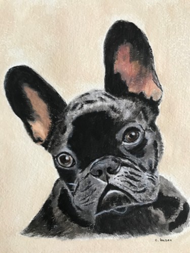 Painting titled "UN BOULEDOGUE FRANÇ…" by Cathou-Bazec, Original Artwork, Acrylic