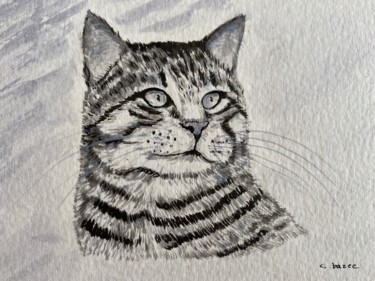 Painting titled "PORTRAIT de CHAT ta…" by Cathou-Bazec, Original Artwork, Ink