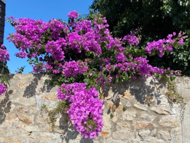 Photography titled "BOUGAINVILLIERS 1" by Cathou-Bazec, Original Artwork, Non Manipulated Photography