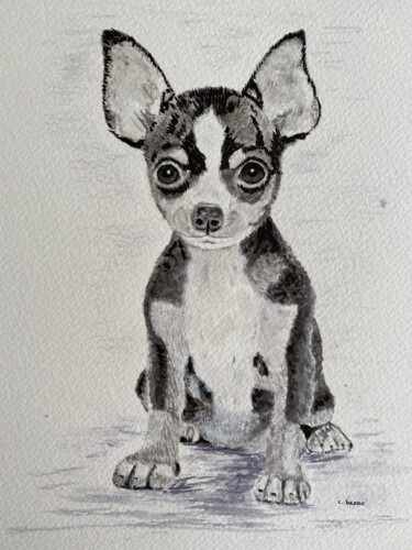 Drawing titled "CHIHUAHUA 1" by Cathou-Bazec, Original Artwork, Ink
