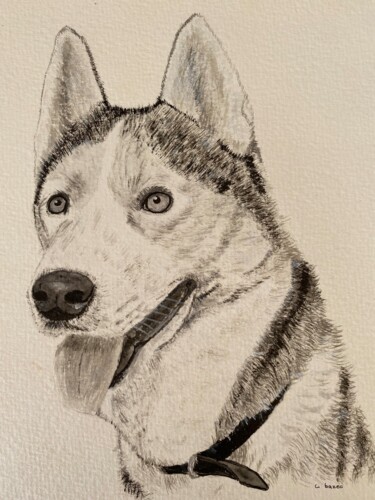 Painting titled "HUSKY 1" by Cathou-Bazec, Original Artwork, Ink