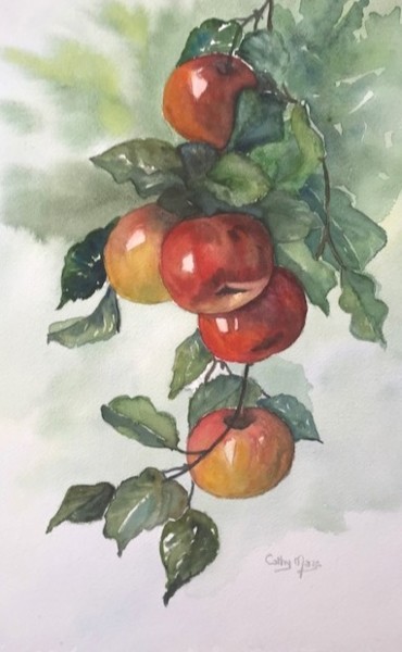 Pintura titulada "Pommes sur leur bra…" por Catherine Maze, Obra de arte original, Acuarela