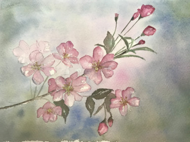 Peinture intitulée "fleurs de pommier" par Catherine Maze, Œuvre d'art originale, Aquarelle