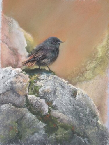 Painting titled "oiseau sur son roch…" by Cathy Perdriaud, Original Artwork, Pastel