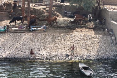Photographie intitulée "Au bord du Nil (Egy…" par Catherine Langlais, Œuvre d'art originale