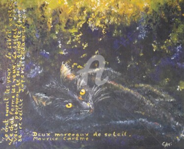 Pittura intitolato "DEUX MORCEAUX DE SO…" da Catherine Cabé (CAT.), Opera d'arte originale, Olio