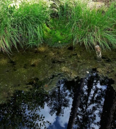 Photographie intitulée "Licht und Schatten" par Brigitte Schäfer, Œuvre d'art originale