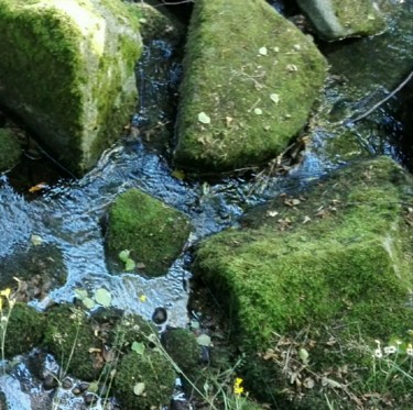 Photographie intitulée "Lebensader" par Brigitte Schäfer, Œuvre d'art originale