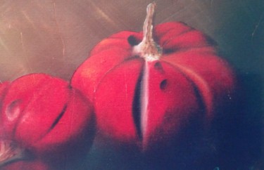 Painting titled "Coquillier" by Capucine, Original Artwork, Oil
