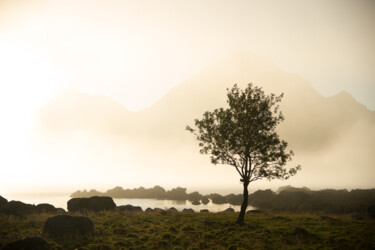 Photographie intitulée "Paysage d'or" par Cbaud, Œuvre d'art originale, Photographie numérique