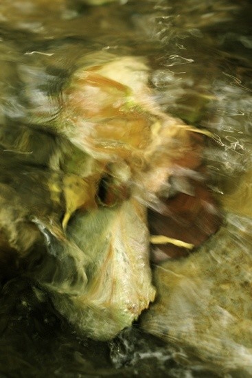 Photographie intitulée "Courant de pensées!" par Claude Delmas, Œuvre d'art originale