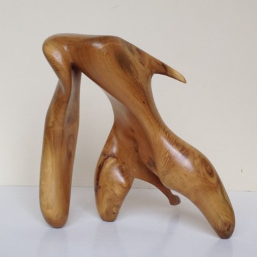 Skulptur mit dem Titel "Le Coccyx" von Cécile Devezeaux De Lavergne, Original-Kunstwerk, Holz