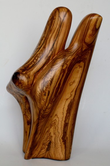 Скульптура под названием "Uniques" - Cécile Devezeaux De Lavergne, Подлинное произведение искусства, Дерево