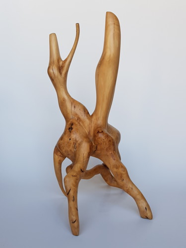 Sculpture intitulée "Le liens sous-jacent" par Cécile Devezeaux De Lavergne, Œuvre d'art originale, Bois