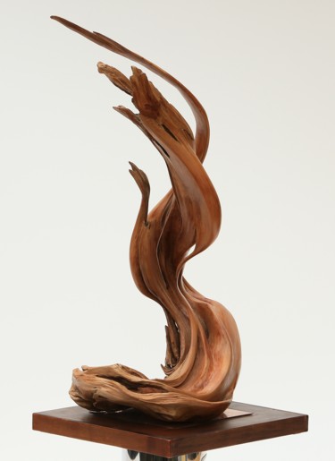 Skulptur mit dem Titel "Racine Rouge" von Cécile Devezeaux De Lavergne, Original-Kunstwerk, Holz