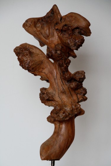 Sculpture intitulée "Le Rêve" par Cécile Devezeaux De Lavergne, Œuvre d'art originale, Bois