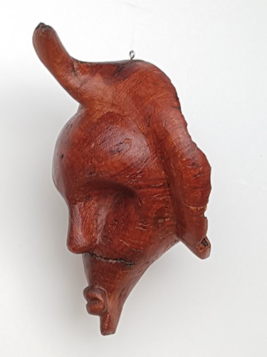 Sculptuur getiteld "Masque Oiseau" door Cécile Devezeaux De Lavergne, Origineel Kunstwerk, Hout