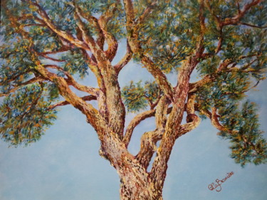 la-cime-du-pin-du-campus-6.jpg Peinture intitulée "la-cime-du-pin-du-c…" par Cécile Labossière, Œuvre d'art originale, Huile