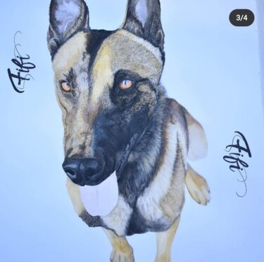 Painting titled "Malinois" by Cécile Lefebvre (Cey's Art), Original Artwork, Watercolor