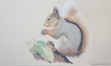 Rysunek zatytułowany „Ecureuil” autorstwa Cécile Lefebvre (Cey's Art), Oryginalna praca, Pastel