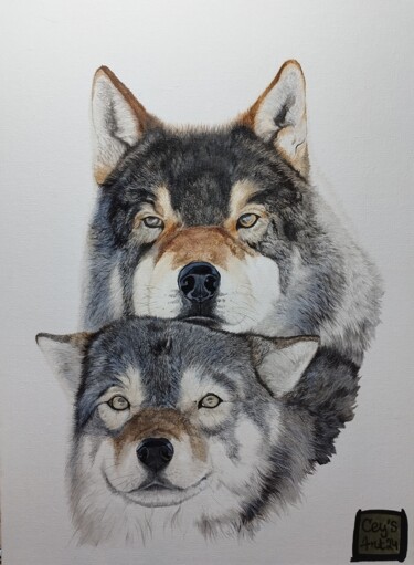 绘画 标题为“Couple de loups” 由Cécile Lefebvre (Cey's Art), 原创艺术品, 水彩