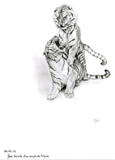 Drawing titled "Tigres" by Cécile Aquisti, Original Artwork