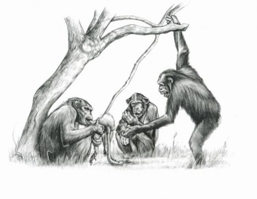 Dessin intitulée "Chimpanzés" par Cécile Aquisti, Œuvre d'art originale