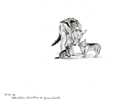 Drawing titled "Chacals" by Cécile Aquisti, Original Artwork