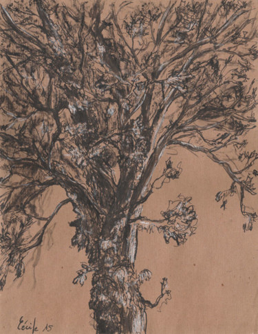 Dessin intitulée "croquis arbre" par Cécile Rateau, Œuvre d'art originale