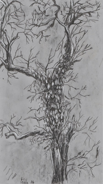 Drawing titled "croquis arbre" by Cécile Rateau, Original Artwork