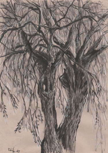 Dessin intitulée "croquis arbre" par Cécile Rateau, Œuvre d'art originale