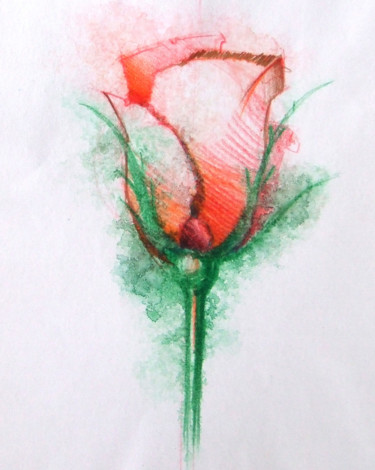 Zeichnungen mit dem Titel "ROSE" von Cecilia Teodoru, Original-Kunstwerk