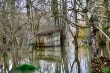 Photographie intitulée "la petite cabane" par Cecilia Teodoru, Œuvre d'art originale, Photographie numérique