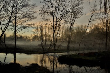 Photographie intitulée "l'hiver le matin" par Cecilia Teodoru, Œuvre d'art originale, Photographie numérique