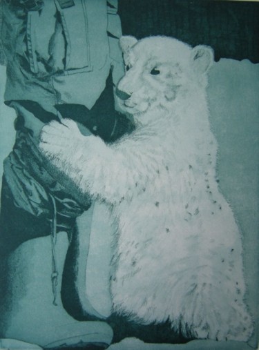 Incisioni, stampe intitolato "Knut" da Cecilia D'Angela, Opera d'arte originale, Altro