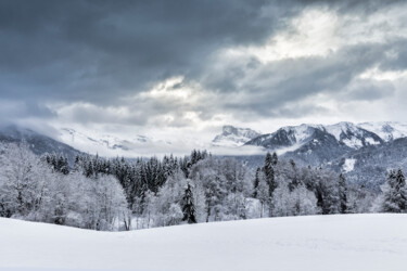 Фотография под названием "Snow" - Cédric Brion (Studio Clavicule Pics), Подлинное произведение искусства, Цифровая фотография