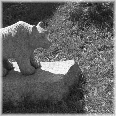 Photographie intitulée "Robust bear on larg…" par Cédric Hajiji, Œuvre d'art originale, Photographie numérique