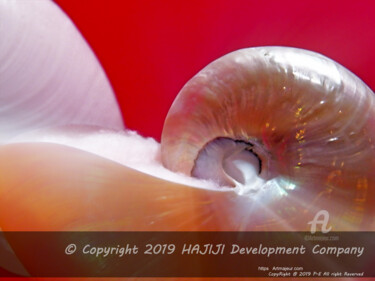 Photographie intitulée "radiant beautiful s…" par Cédric Hajiji, Œuvre d'art originale, Photographie numérique